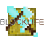 Logo aplikace Blocklife